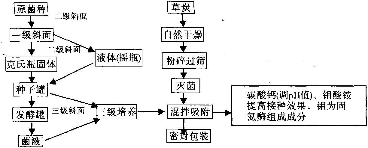 根瘤菌肥